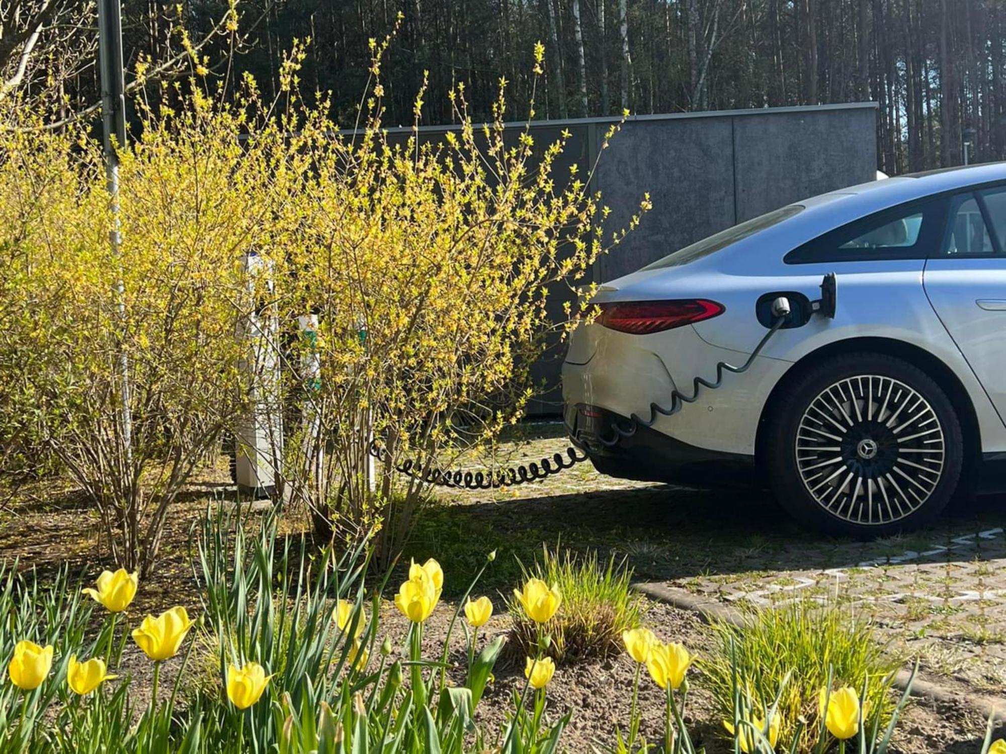 Rosevia Resort & Spa Jastrzębia Góra Eksteriør billede